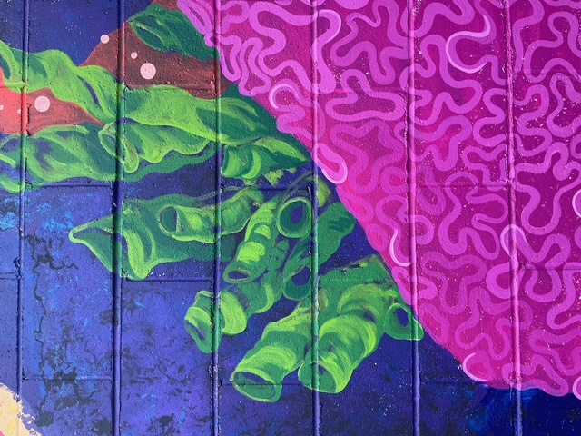 Murray the octopus mural, view 24.